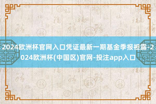 2024欧洲杯官网入口凭证最新一期基金季报袒露-2024欧洲杯(中国区)官网-投注app入口