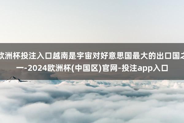 欧洲杯投注入口越南是宇宙对好意思国最大的出口国之一-2024欧洲杯(中国区)官网-投注app入口