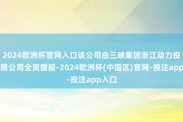 2024欧洲杯官网入口该公司由三峡集团浙江动力投资有限公司全资握股-2024欧洲杯(中国区)官网-投注app入口