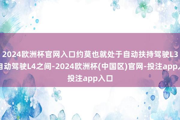 2024欧洲杯官网入口约莫也就处于自动扶持驾驶L3到自动驾驶L4之间-2024欧洲杯(中国区)官网-投注app入口