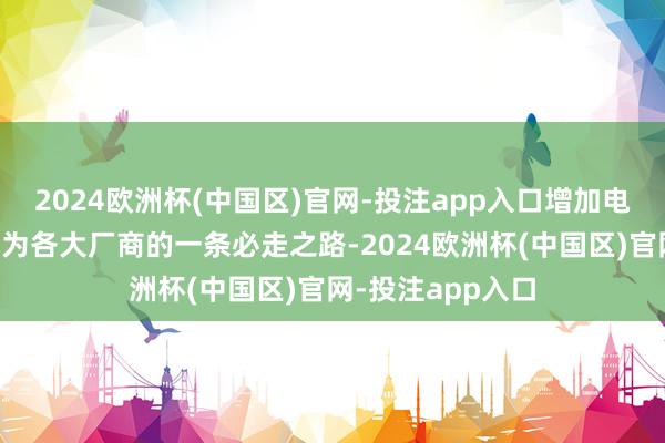 2024欧洲杯(中国区)官网-投注app入口增加电板能量密度就成为各大厂商的一条必走之路-2024欧洲杯(中国区)官网-投注app入口