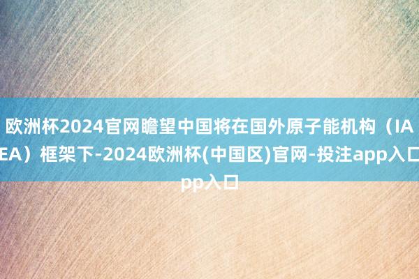 欧洲杯2024官网瞻望中国将在国外原子能机构（IAEA）框架下-2024欧洲杯(中国区)官网-投注app入口