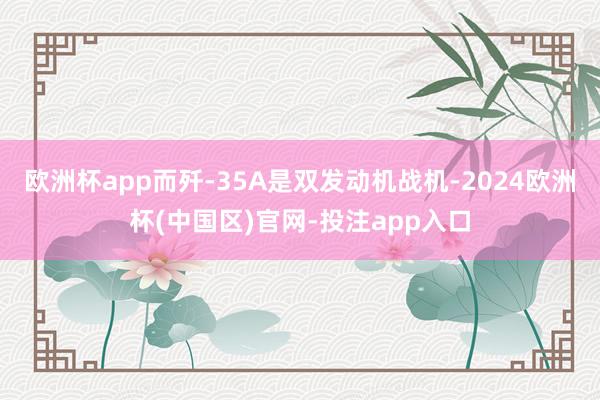 欧洲杯app而歼-35A是双发动机战机-2024欧洲杯(中国区)官网-投注app入口