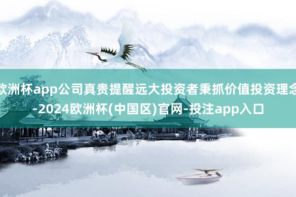 欧洲杯app公司真贵提醒远大投资者秉抓价值投资理念-2024欧洲杯(中国区)官网-投注app入口