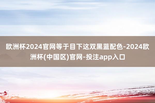 欧洲杯2024官网等于目下这双黑蓝配色-2024欧洲杯(中国区)官网-投注app入口