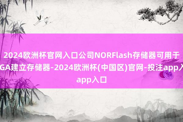 2024欧洲杯官网入口公司NORFlash存储器可用于FPGA建立存储器-2024欧洲杯(中国区)官网-投注app入口