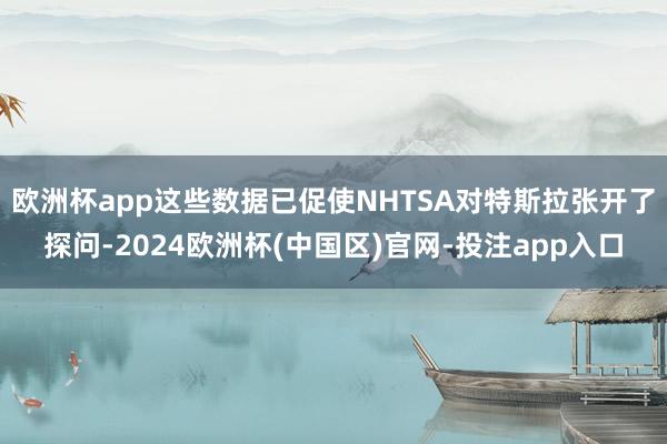 欧洲杯app这些数据已促使NHTSA对特斯拉张开了探问-2024欧洲杯(中国区)官网-投注app入口