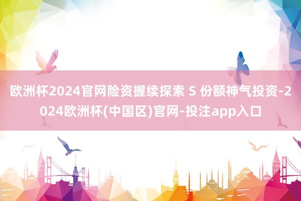 欧洲杯2024官网险资握续探索 S 份额神气投资-2024欧洲杯(中国区)官网-投注app入口