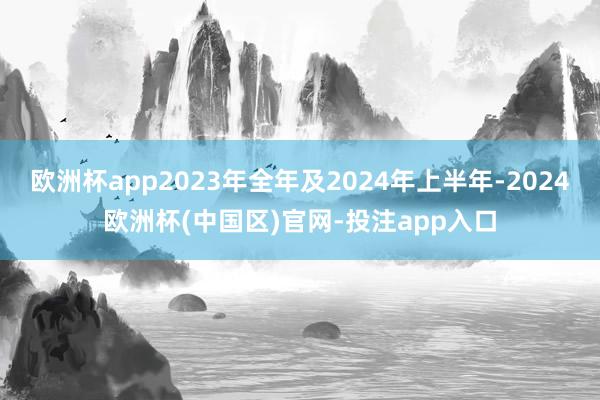 欧洲杯app2023年全年及2024年上半年-2024欧洲杯(中国区)官网-投注app入口