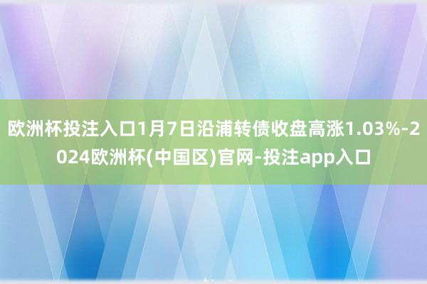 欧洲杯投注入口1月7日沿浦转债收盘高涨1.03%-2024欧洲杯(中国区)官网-投注app入口