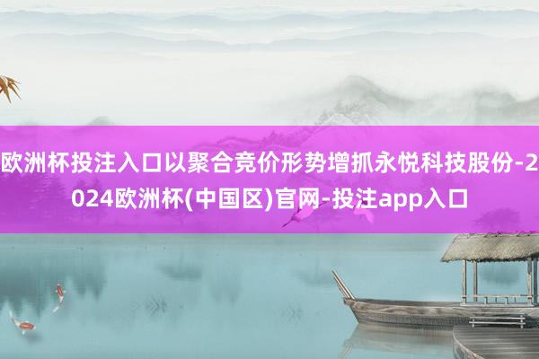 欧洲杯投注入口以聚合竞价形势增抓永悦科技股份-2024欧洲杯(中国区)官网-投注app入口