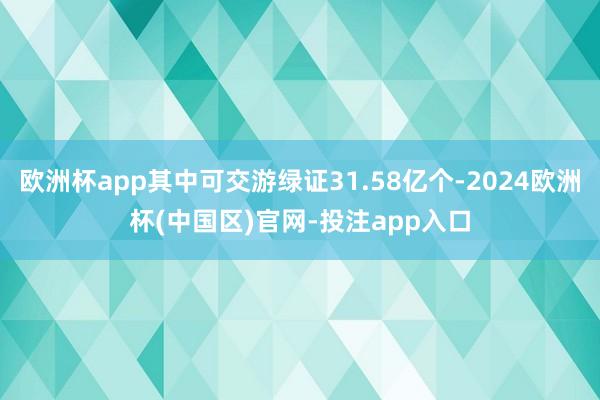 欧洲杯app其中可交游绿证31.58亿个-2024欧洲杯(中国区)官网-投注app入口