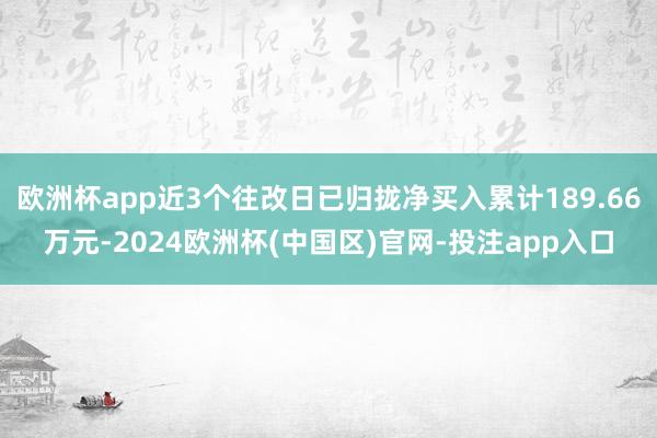 欧洲杯app近3个往改日已归拢净买入累计189.66万元-2024欧洲杯(中国区)官网-投注app入口