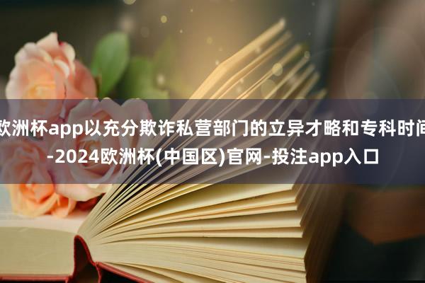 欧洲杯app以充分欺诈私营部门的立异才略和专科时间-2024欧洲杯(中国区)官网-投注app入口