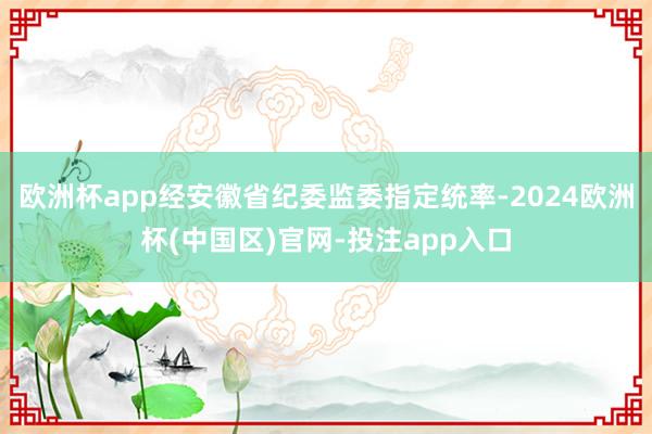 欧洲杯app经安徽省纪委监委指定统率-2024欧洲杯(中国区)官网-投注app入口