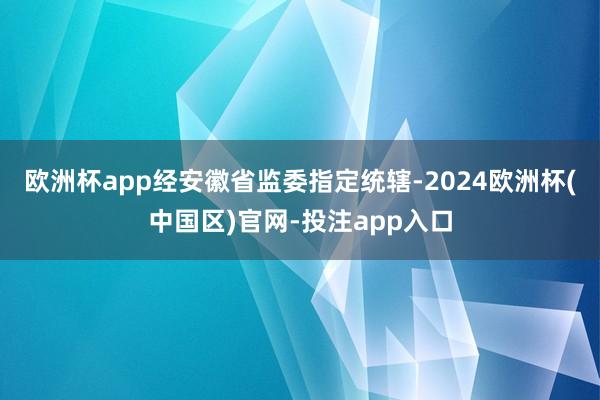 欧洲杯app经安徽省监委指定统辖-2024欧洲杯(中国区)官网-投注app入口