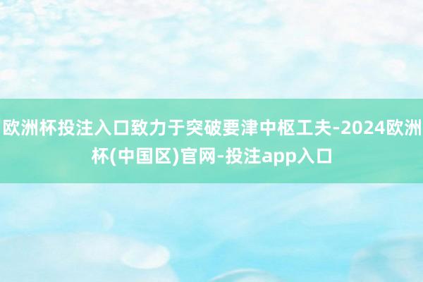 欧洲杯投注入口致力于突破要津中枢工夫-2024欧洲杯(中国区)官网-投注app入口