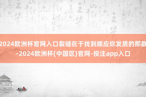 2024欧洲杯官网入口裂缝在于找到顺应你发质的那款-2024欧洲杯(中国区)官网-投注app入口
