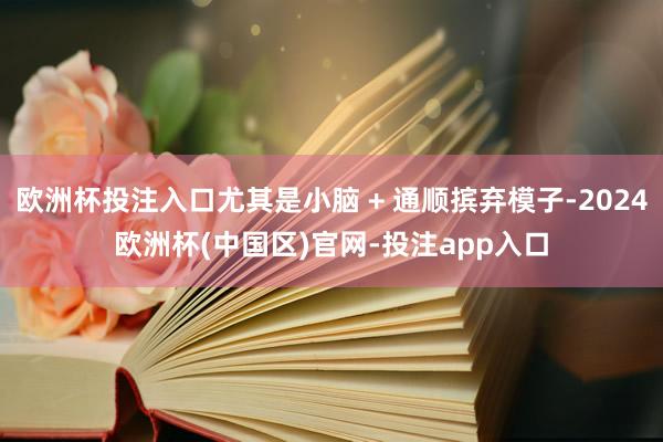 欧洲杯投注入口尤其是小脑 + 通顺摈弃模子-2024欧洲杯(中国区)官网-投注app入口