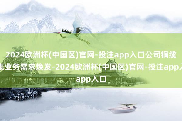 2024欧洲杯(中国区)官网-投注app入口公司铜缆齐集业务需求焕发-2024欧洲杯(中国区)官网-投注app入口
