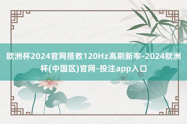欧洲杯2024官网搭救120Hz高刷新率-2024欧洲杯(中国区)官网-投注app入口