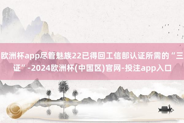 欧洲杯app尽管魅族22已得回工信部认证所需的“三证”-2024欧洲杯(中国区)官网-投注app入口