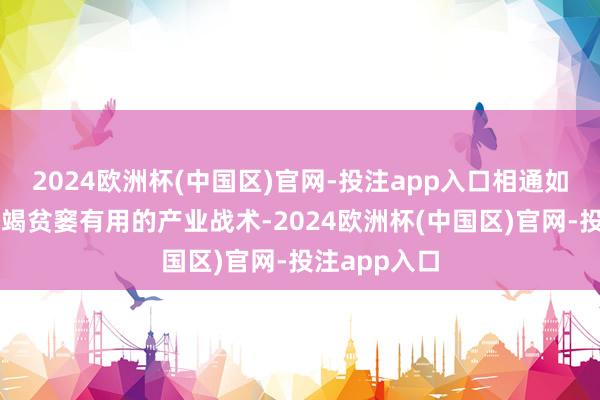 2024欧洲杯(中国区)官网-投注app入口相通如斯:政府不竭贫窭有用的产业战术-2024欧洲杯(中国区)官网-投注app入口