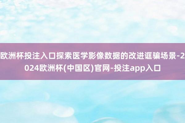 欧洲杯投注入口探索医学影像数据的改进诓骗场景-2024欧洲杯(中国区)官网-投注app入口