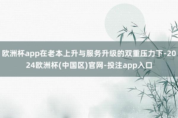 欧洲杯app在老本上升与服务升级的双重压力下-2024欧洲杯(中国区)官网-投注app入口