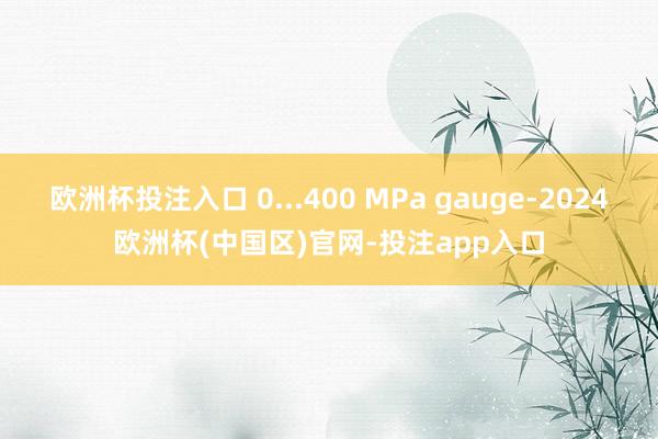 欧洲杯投注入口 0...400 MPa gauge-2024欧洲杯(中国区)官网-投注app入口