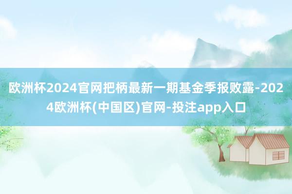 欧洲杯2024官网把柄最新一期基金季报败露-2024欧洲杯(中国区)官网-投注app入口
