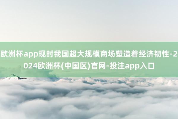 欧洲杯app现时我国超大规模商场塑造着经济韧性-2024欧洲杯(中国区)官网-投注app入口