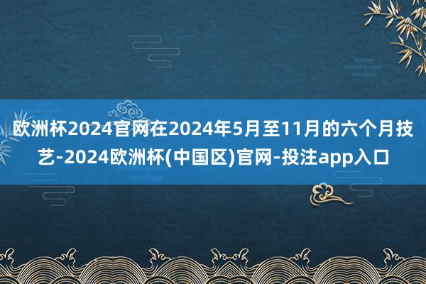 欧洲杯2024官网在2024年5月至11月的六个月技艺-2024欧洲杯(中国区)官网-投注app入口