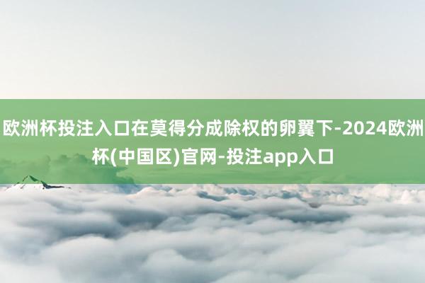 欧洲杯投注入口在莫得分成除权的卵翼下-2024欧洲杯(中国区)官网-投注app入口