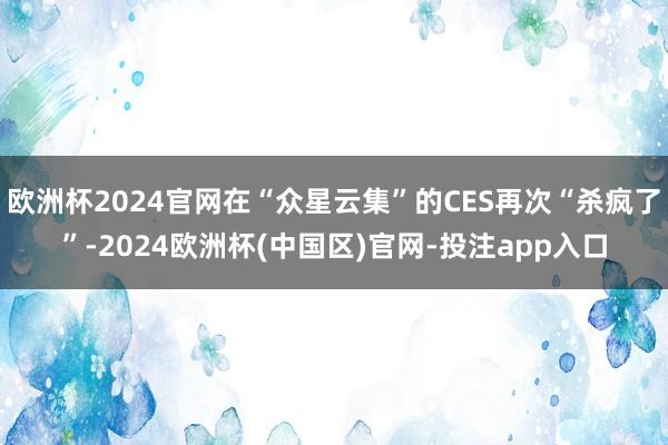 欧洲杯2024官网在“众星云集”的CES再次“杀疯了”-2024欧洲杯(中国区)官网-投注app入口