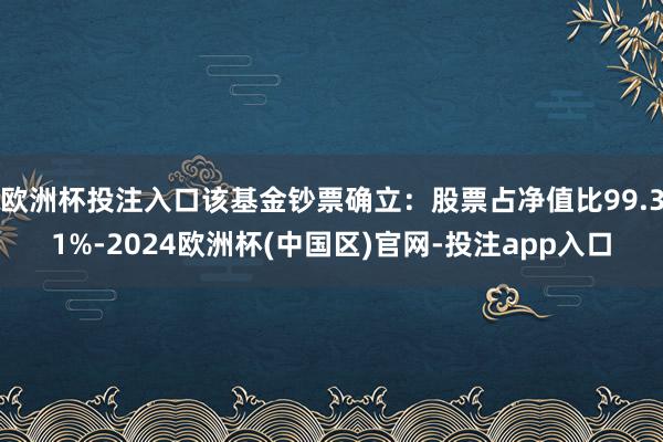 欧洲杯投注入口该基金钞票确立：股票占净值比99.31%-2024欧洲杯(中国区)官网-投注app入口