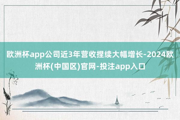 欧洲杯app公司近3年营收捏续大幅增长-2024欧洲杯(中国区)官网-投注app入口
